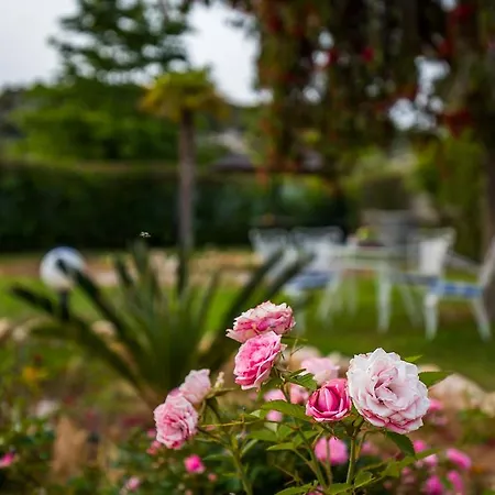 Appartement Hill & Seaview - Aelia Charaki